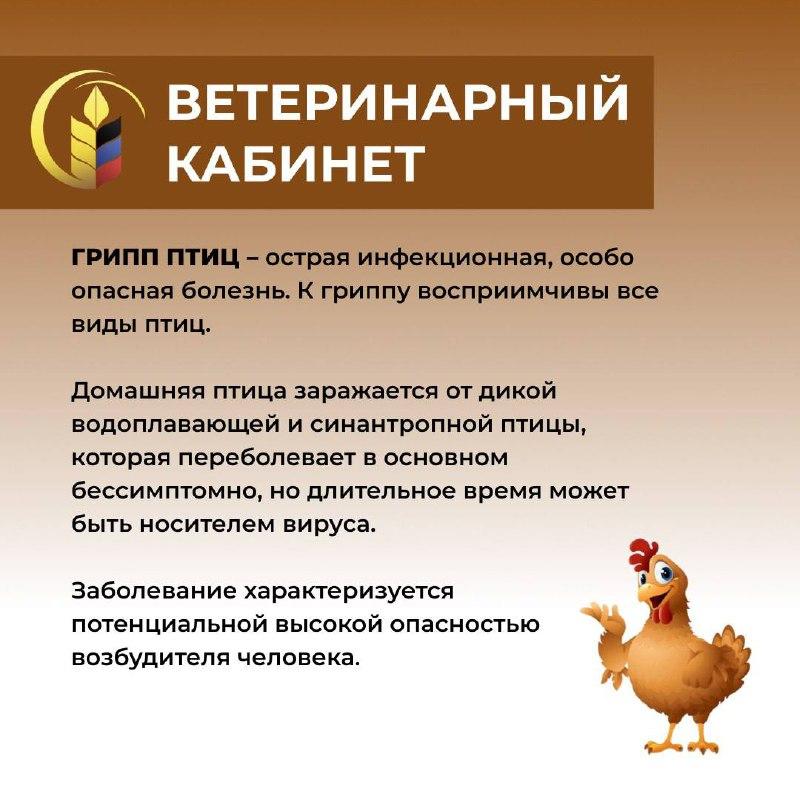 ВЕТЕРИНАРНЫЙ КАБИНЕТ.