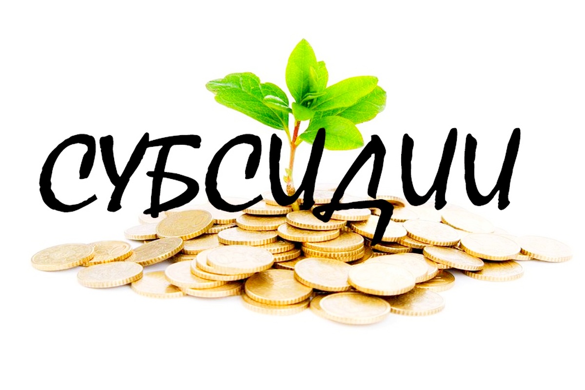 СУБСИДИЯ.